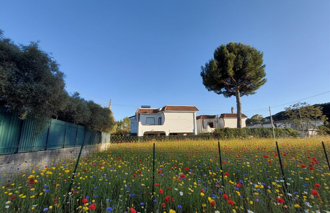20260425_183348 - Modificata